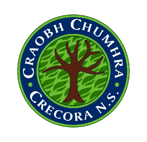 Category Image