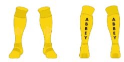 Abbeyfeale RFC long socks