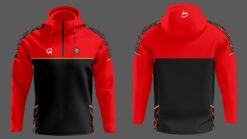 Desmond rugby 1/4 HOODIE