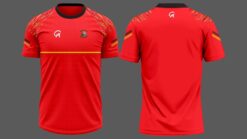 Desmond rugby LEISURE T-SHIRT