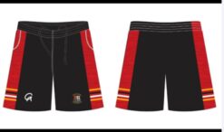 Desmond rugby Leisure Shorts