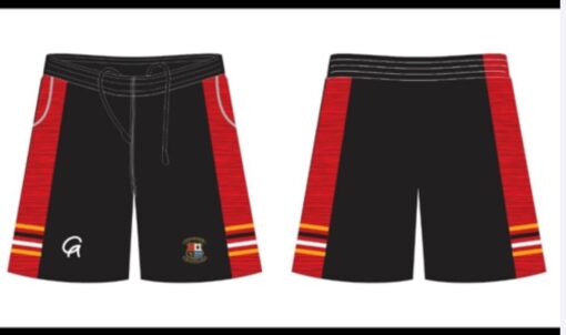 Desmond rugby Leisure Shorts