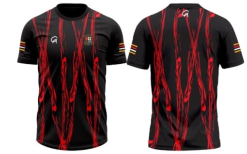 Desmond rugby Training T-Shirt