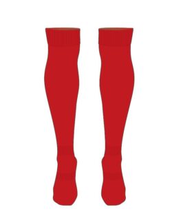 Desmond rugby Playing Socks