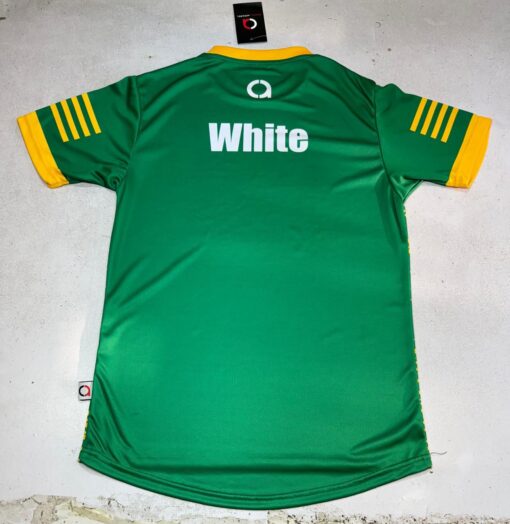 ST Rynagh Sublimated training T-SHIRT - Image 4