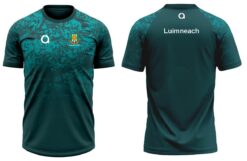 limerick Masters Training T shirt