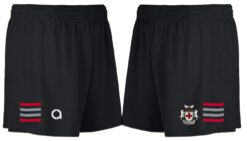 Tullamore 3rds leisure shorts