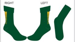 WEST OFFALY LIONS GRIP SOCKS