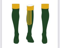 WEST OFFALY LIONS LONG SOCK