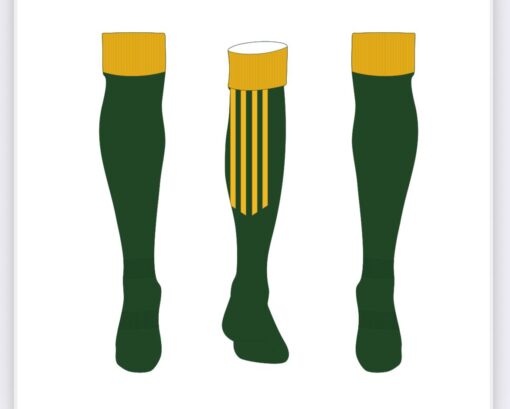 WEST OFFALY LIONS LONG SOCK