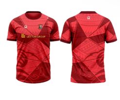 DESMOND TOUR T-SHIRT