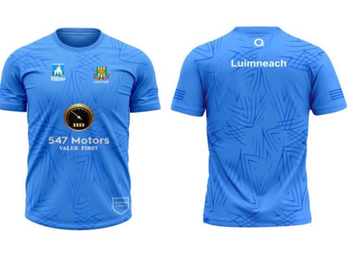 Limerick Masters TRAINING TOP