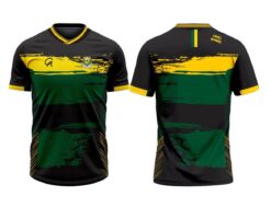 WEST OFFALY LIONS APEX T-SHIRT